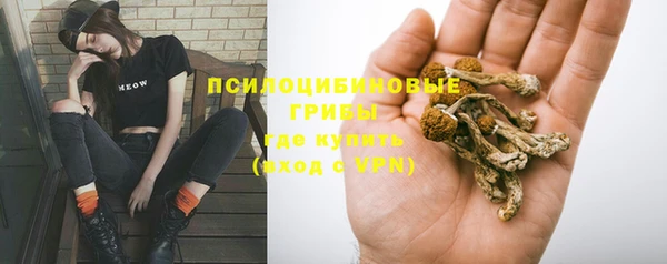MESCALINE Гусь-Хрустальный
