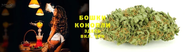 MESCALINE Гусь-Хрустальный