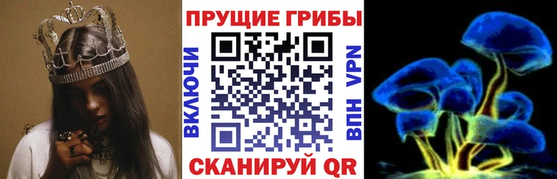 Купить где Наро-Фоминск Галлюциногенные грибы Magic Shrooms